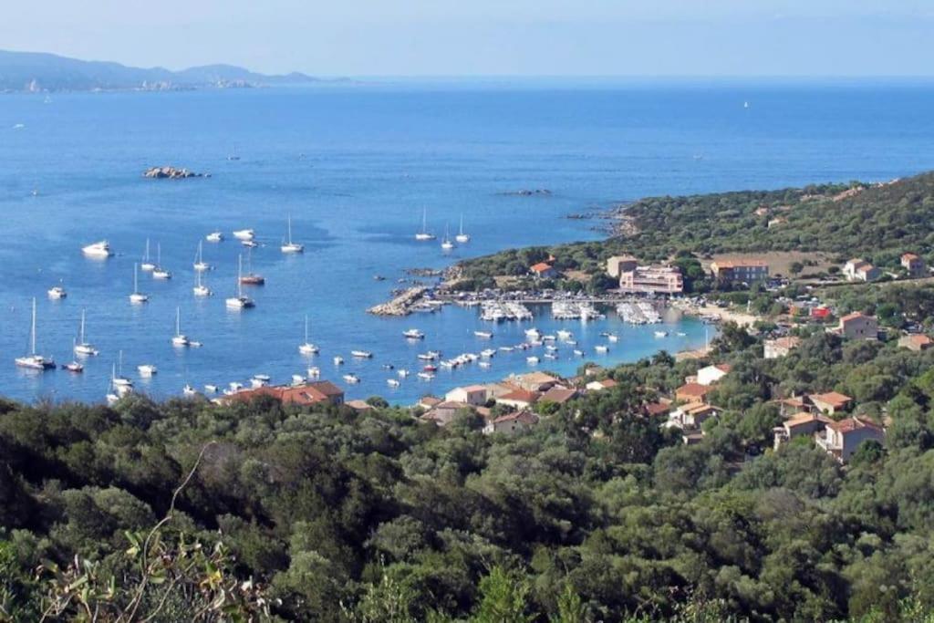 T2 D'Exception 100M Plage Terrasse Vue Mer Et Montagnes Propriano  Eksteriør billede