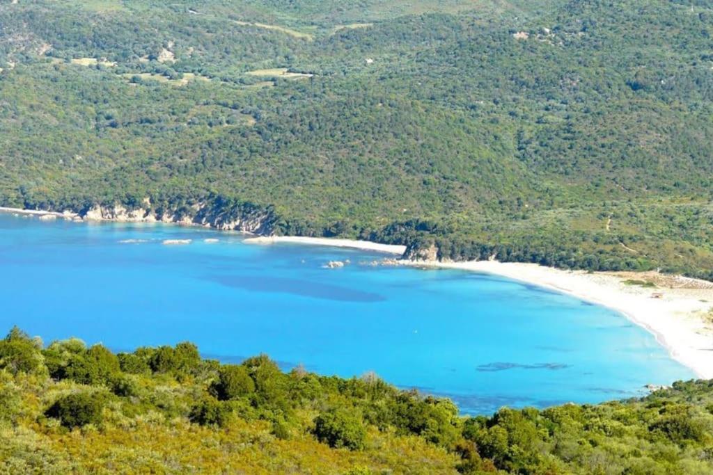 T2 D'Exception 100M Plage Terrasse Vue Mer Et Montagnes Propriano  Eksteriør billede