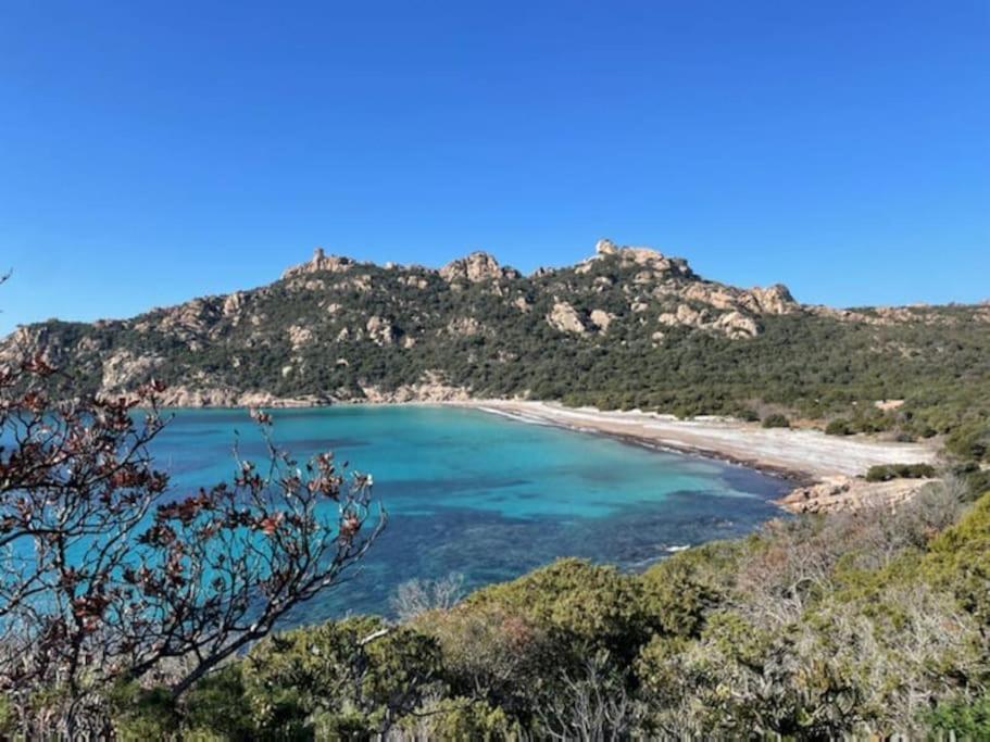 T2 D'Exception 100M Plage Terrasse Vue Mer Et Montagnes Propriano  Eksteriør billede