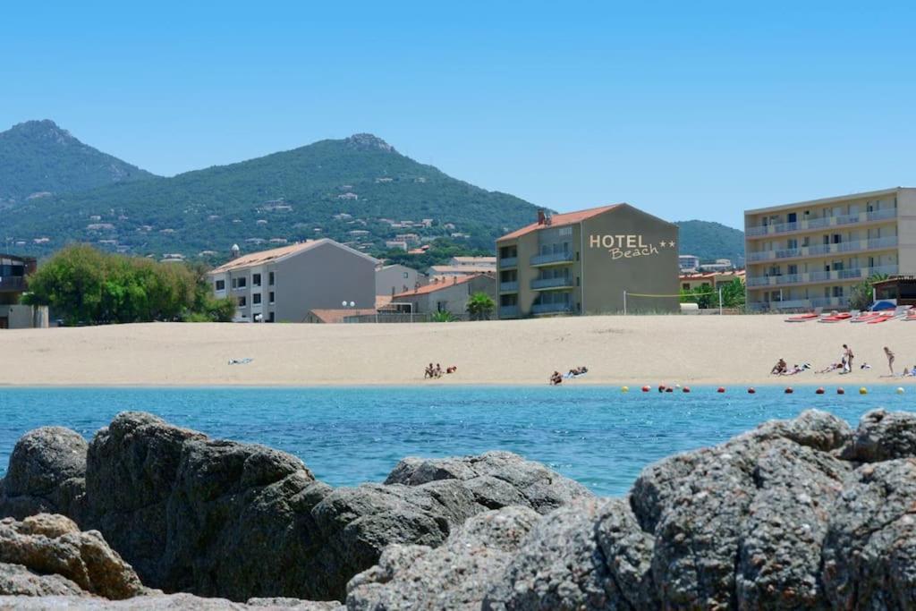 T2 D'Exception 100M Plage Terrasse Vue Mer Et Montagnes Propriano  Eksteriør billede