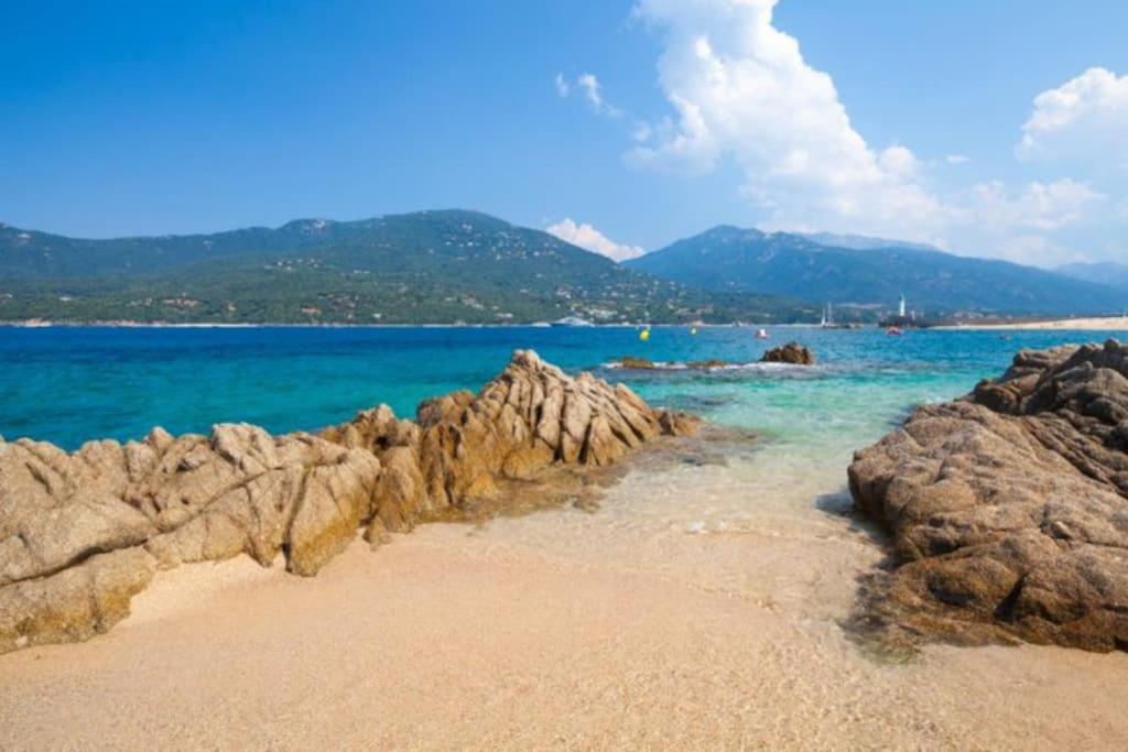T2 D'Exception 100M Plage Terrasse Vue Mer Et Montagnes Propriano  Eksteriør billede